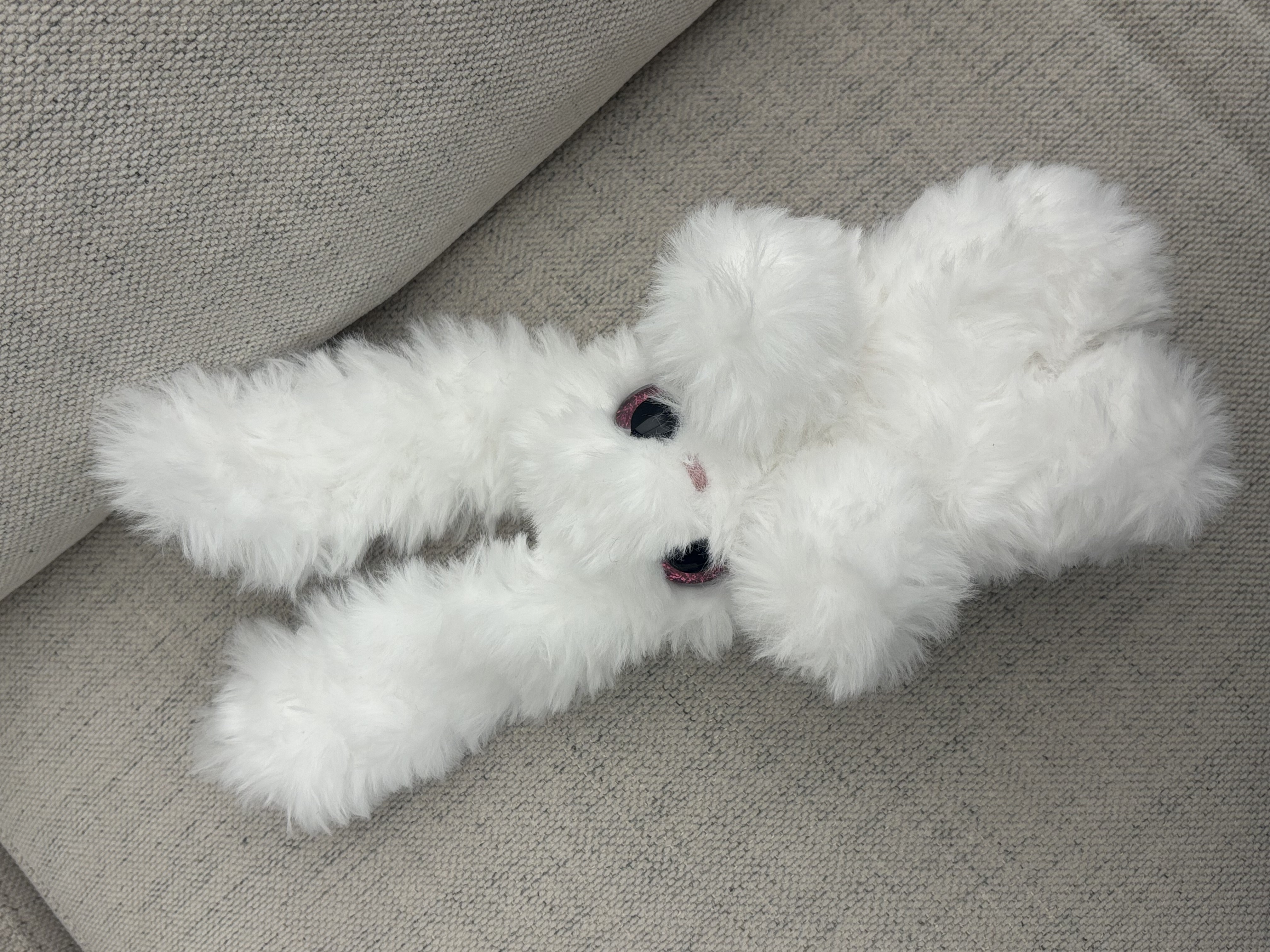 Lop Rabbit 2